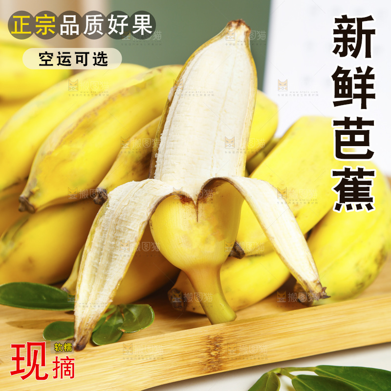 浅底上的芭蕉