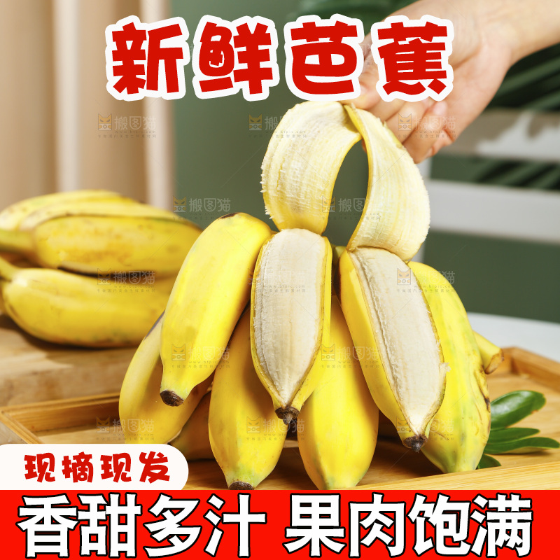 浅底上的芭蕉