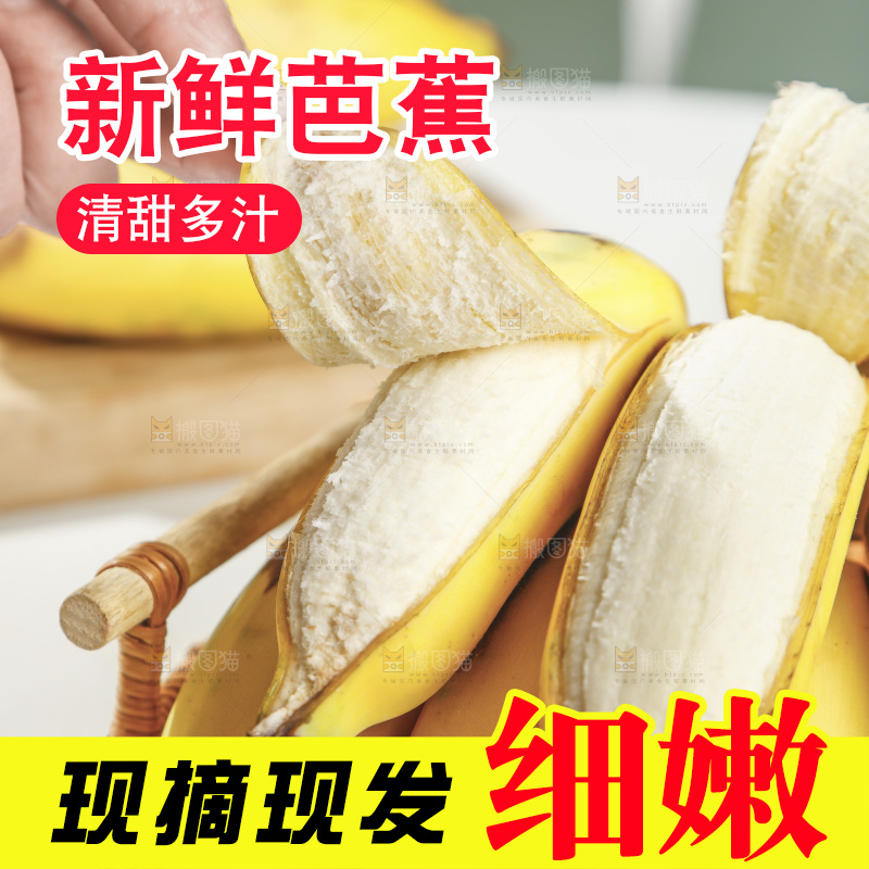 浅底上的芭蕉