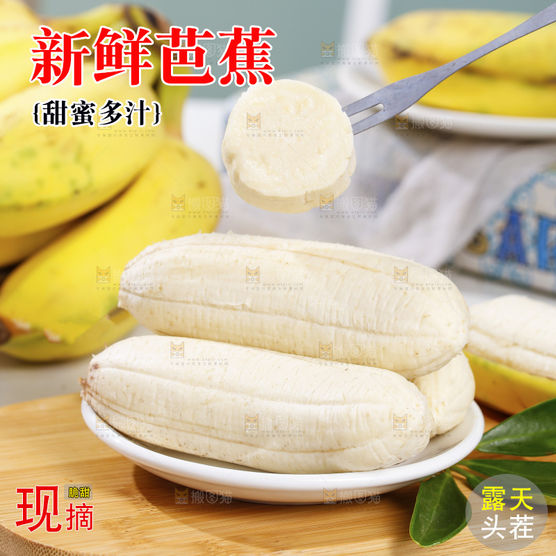 浅底上的芭蕉
