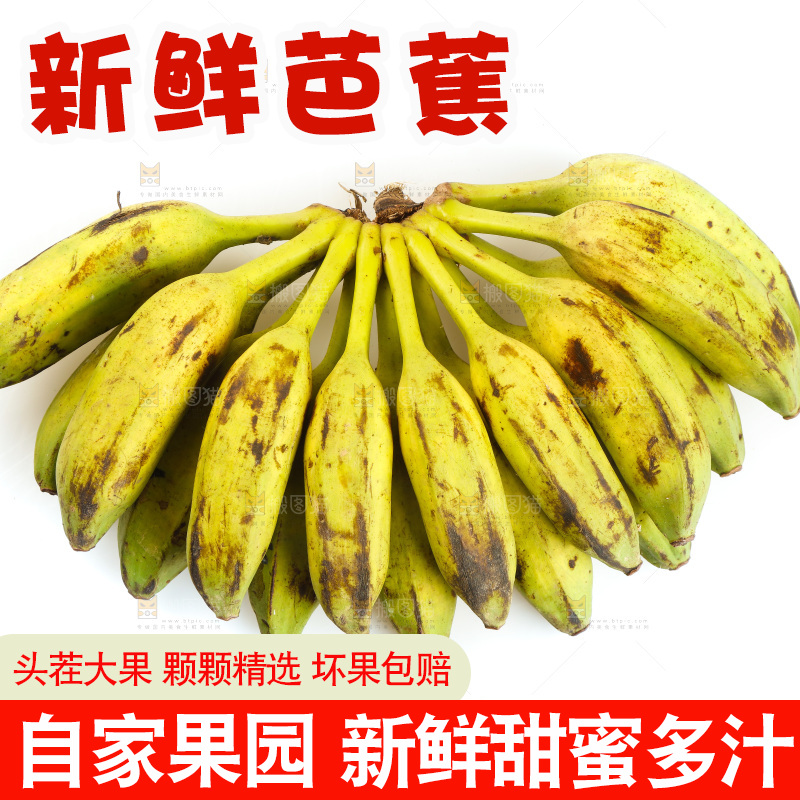 白底上的芭蕉