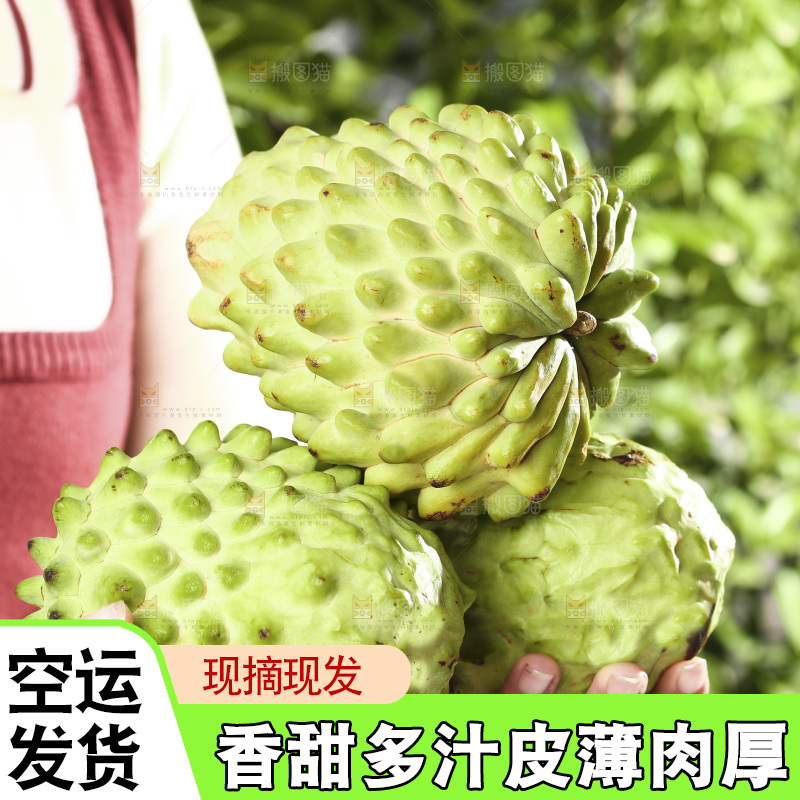 手里拿着释迦果