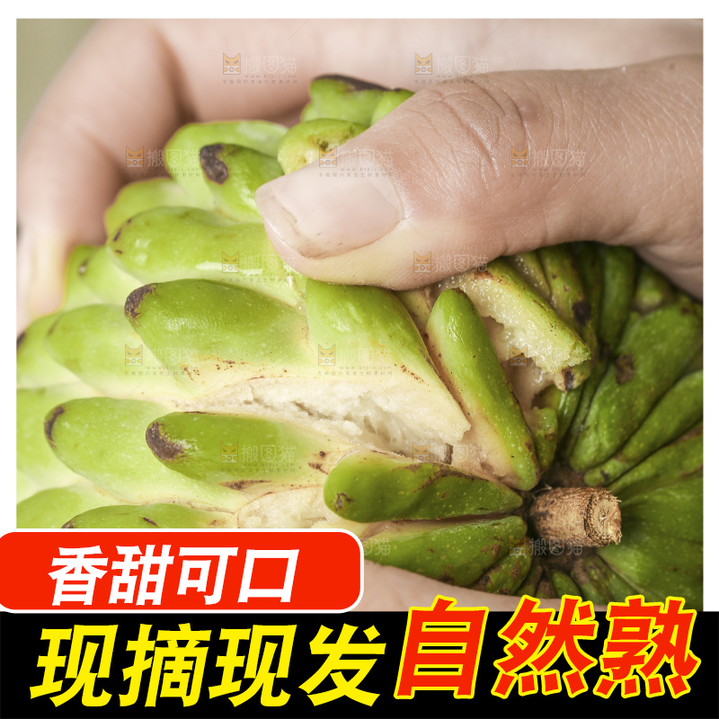 手里拿着释迦果