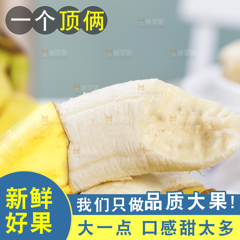 浅底上的芭蕉