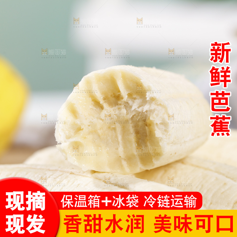 浅底上的芭蕉