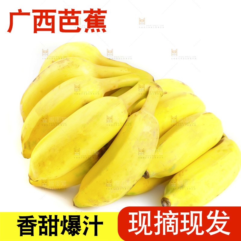 白底上的芭蕉