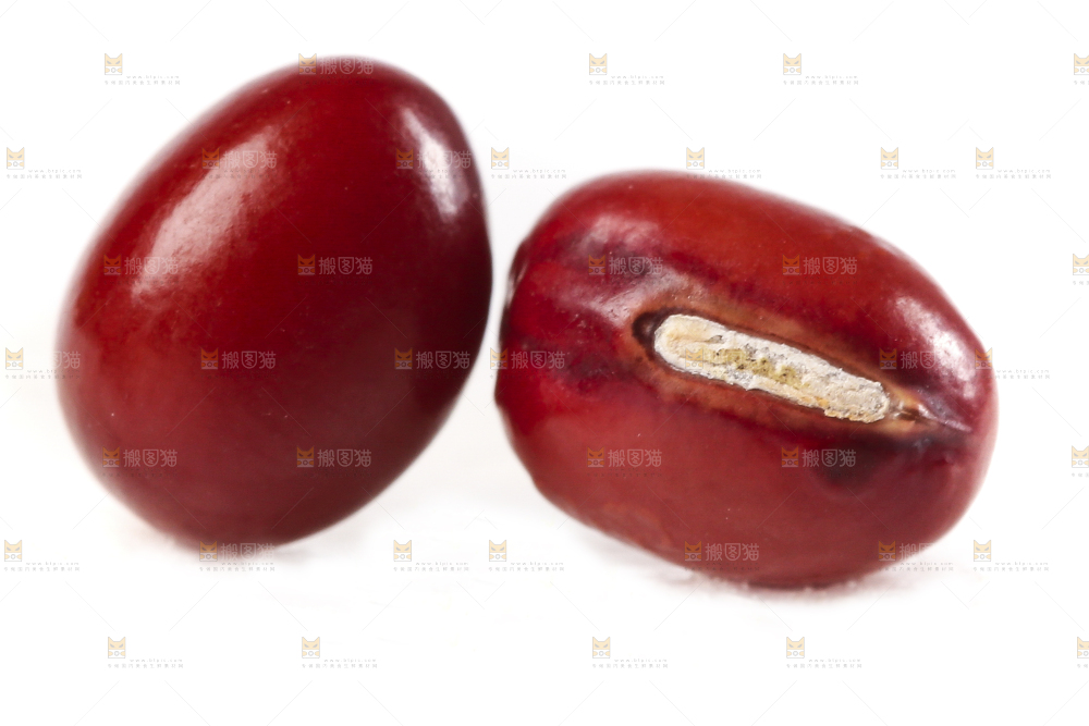 白底上的红豆