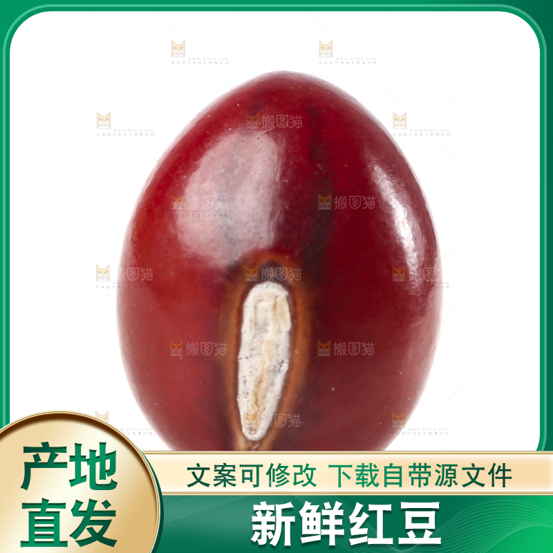 白底上的红豆