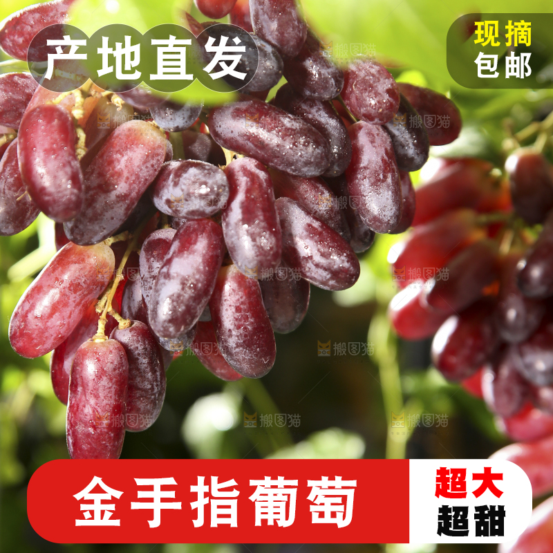 深底上的金手指葡萄