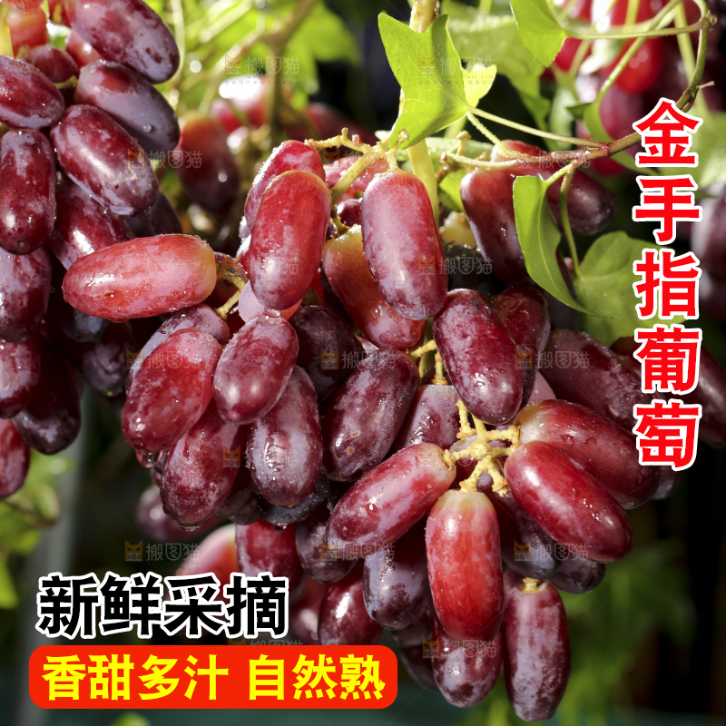 深底上的金手指葡萄