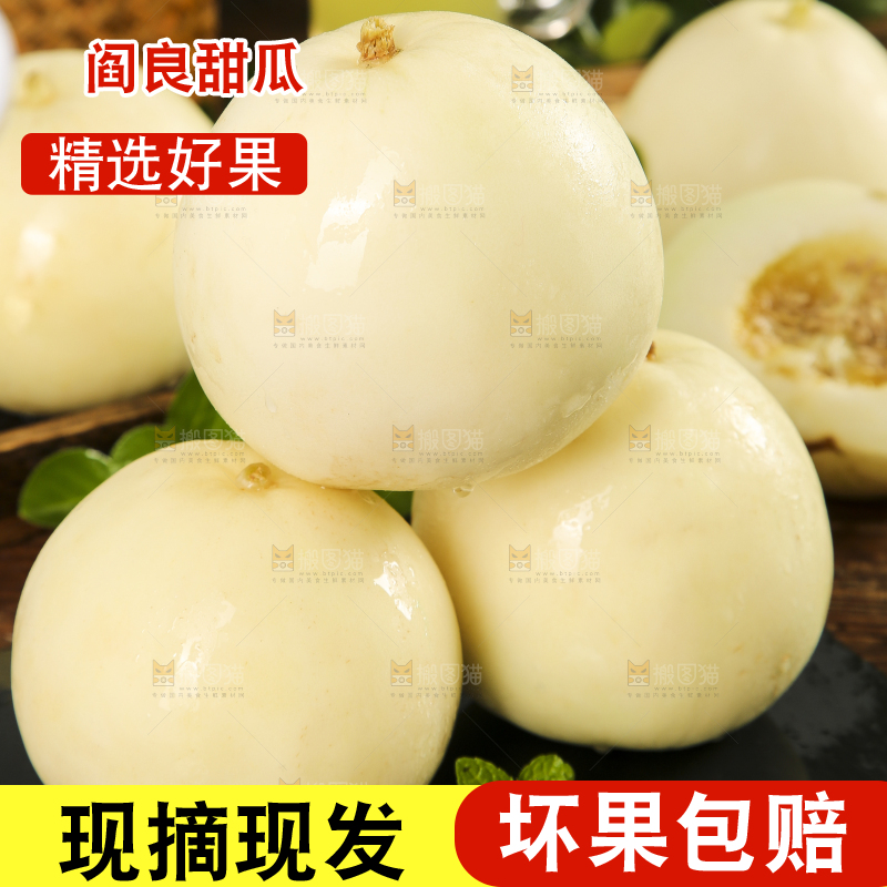 浅底上的阎良甜瓜