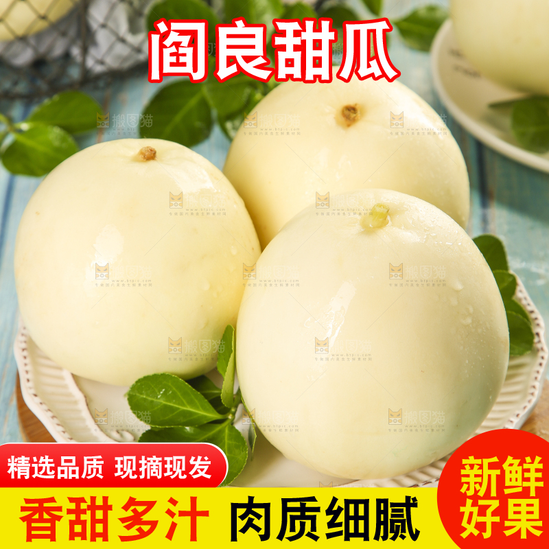 浅底上的阎良甜瓜