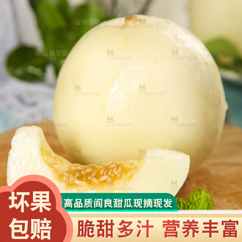 浅底上的阎良甜瓜