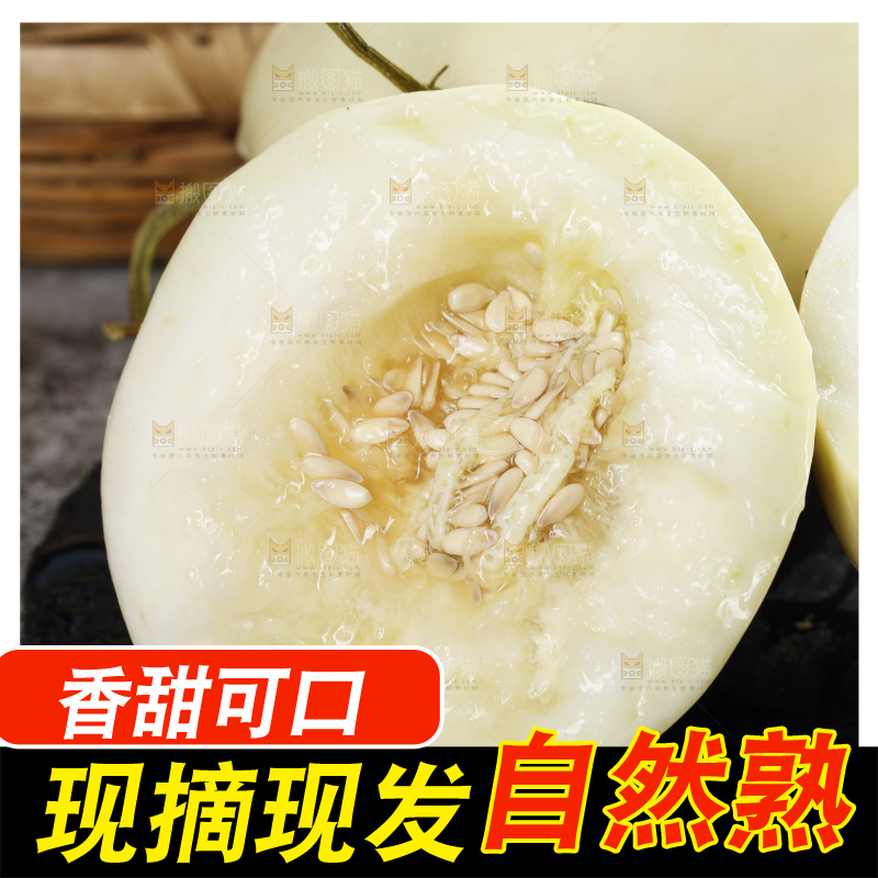 浅底上的阎良甜瓜