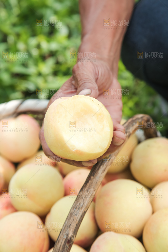 手里拿着现摘水蜜桃
