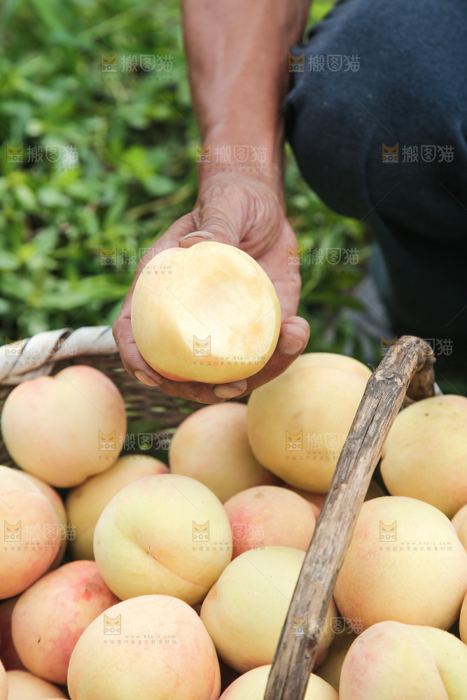 手里拿着现摘水蜜桃