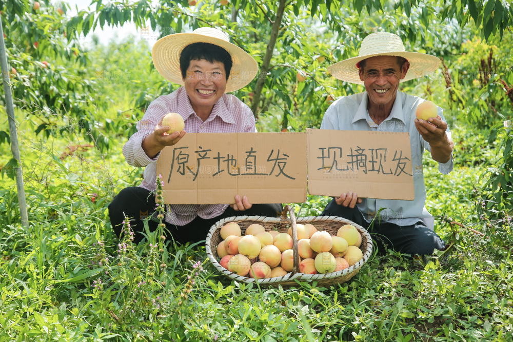 手里拿着现摘水蜜桃