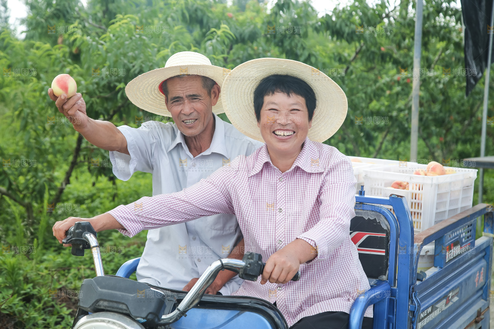 手里拿着现摘水蜜桃