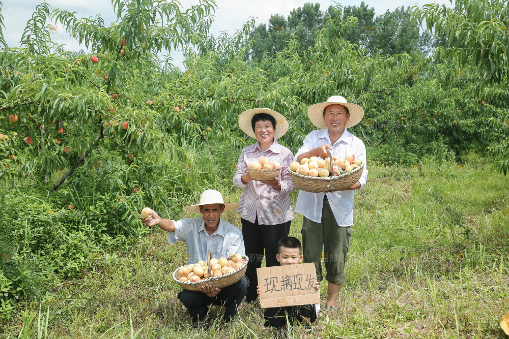 手里拿着现摘水蜜桃