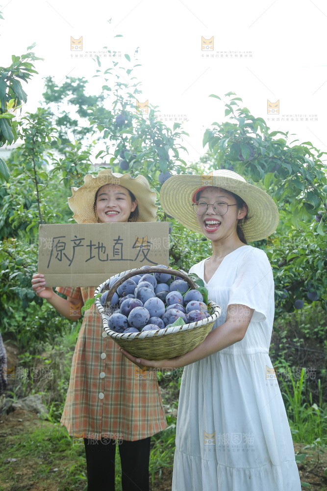新鲜现摘黑布林