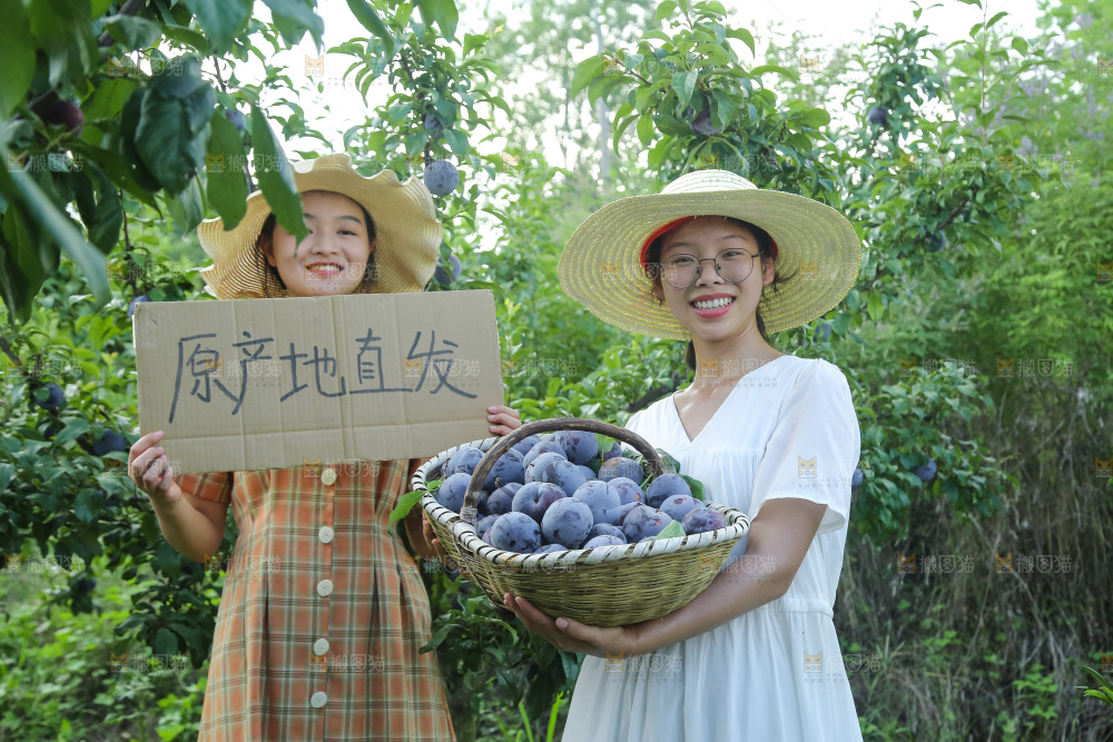 新鲜现摘黑布林