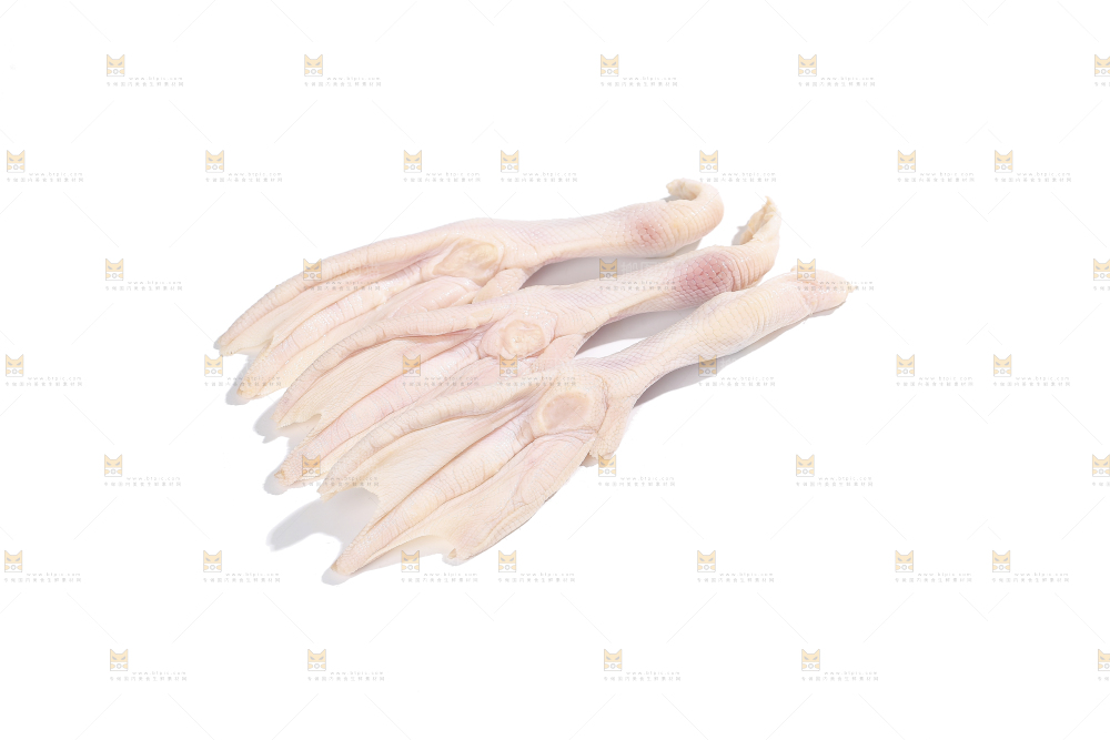 白底上的新鲜鸭掌