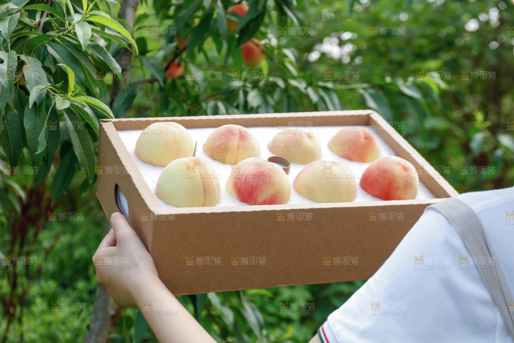 手里拿着现摘水蜜桃