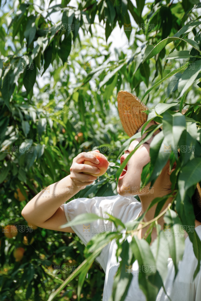 手里拿着现摘水蜜桃