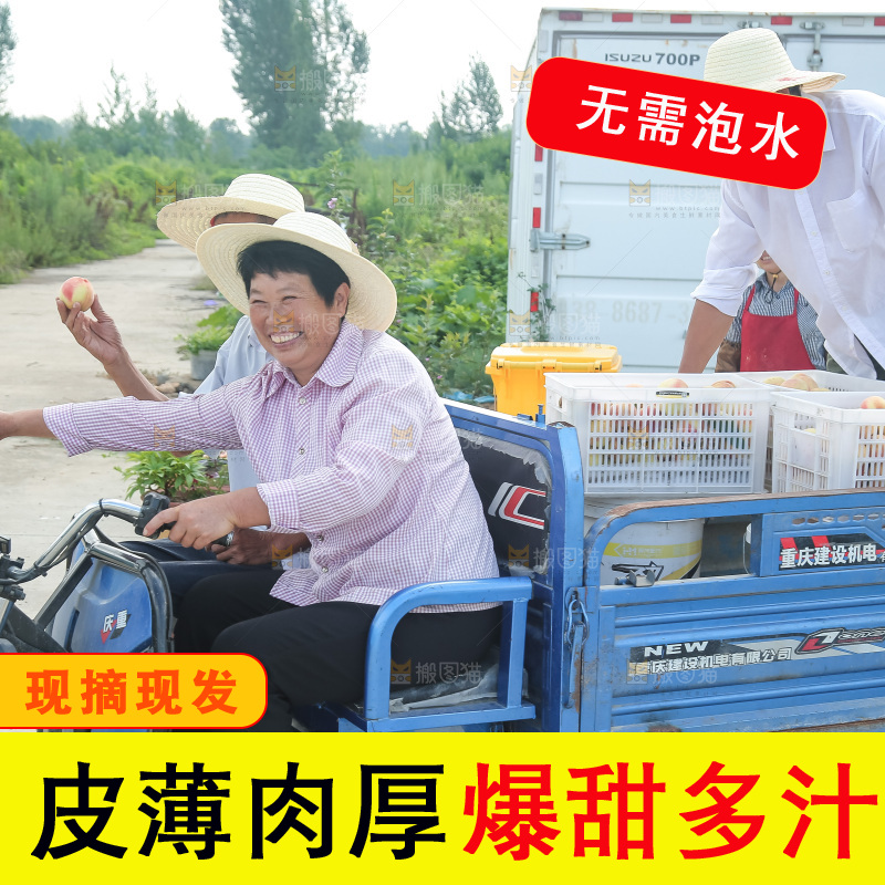 手里拿着现摘水蜜桃