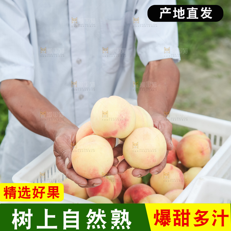 手里拿着现摘水蜜桃
