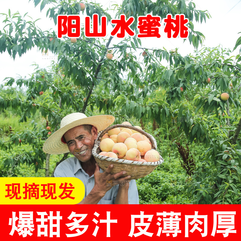 手里拿着现摘水蜜桃