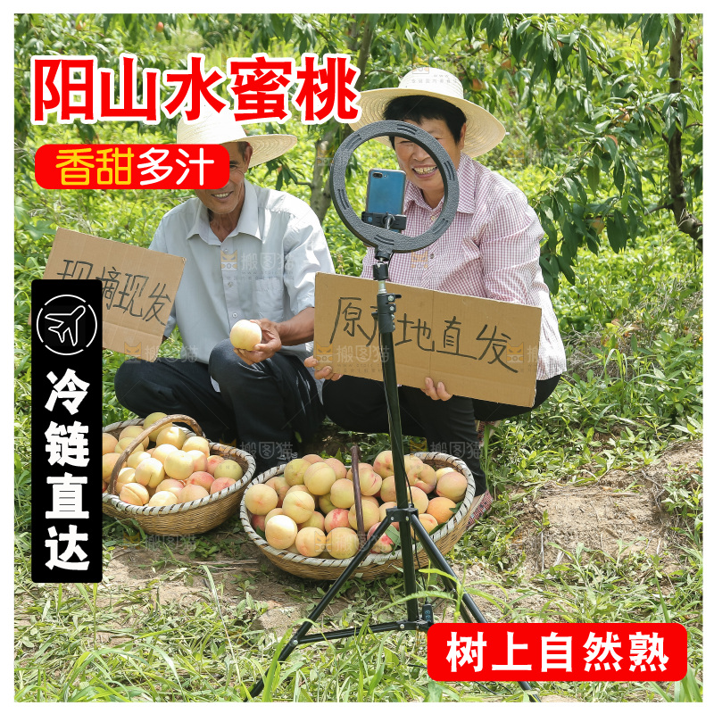 手里拿着现摘水蜜桃