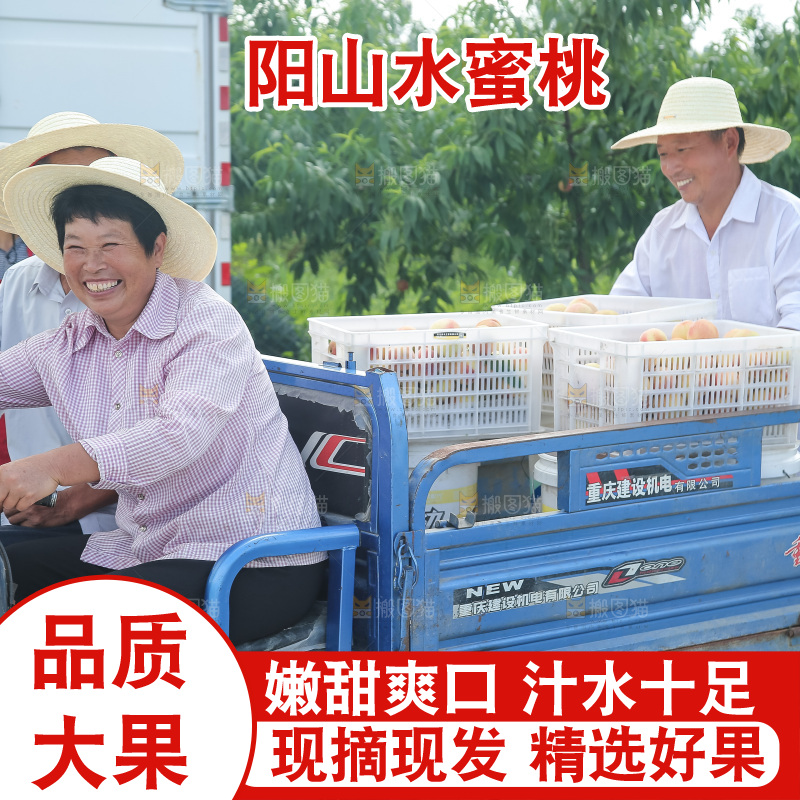 手里拿着现摘水蜜桃