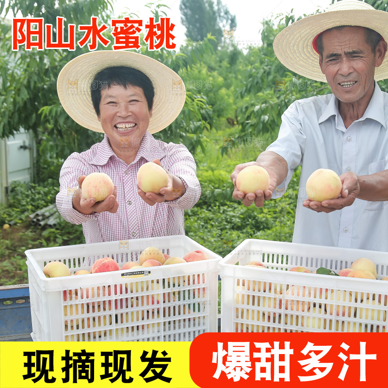 手里拿着现摘水蜜桃