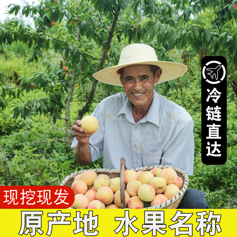 手里拿着现摘水蜜桃