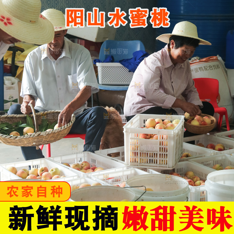 手里拿着现摘水蜜桃