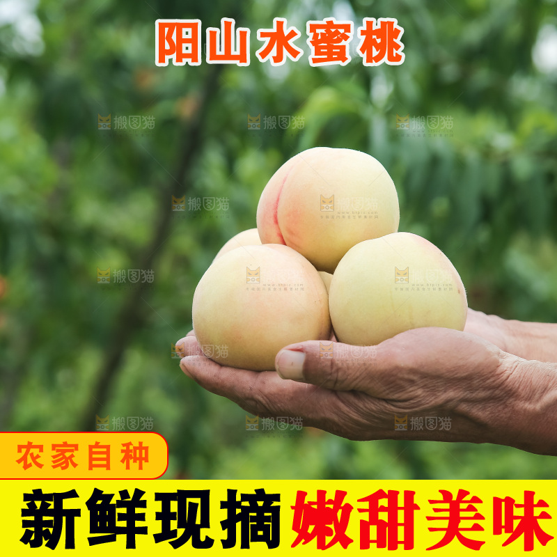手里拿着现摘水蜜桃