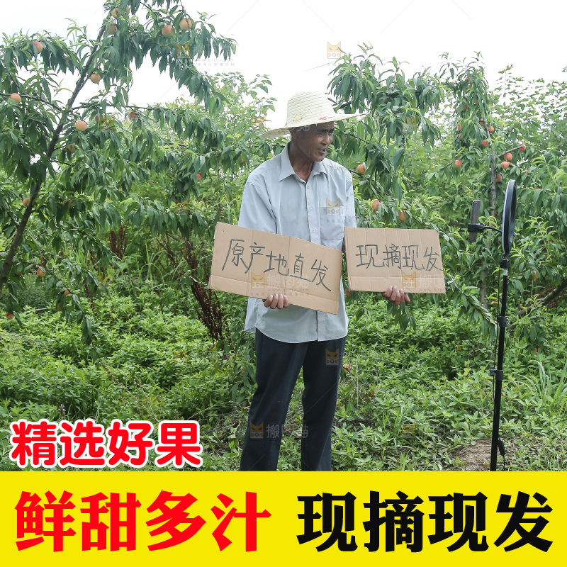 手里拿着现摘水蜜桃
