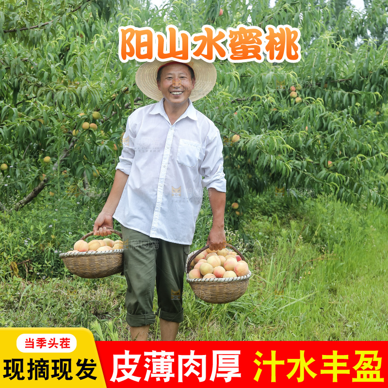 手里拿着现摘水蜜桃