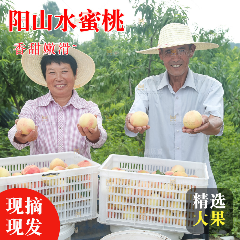 手里拿着现摘水蜜桃