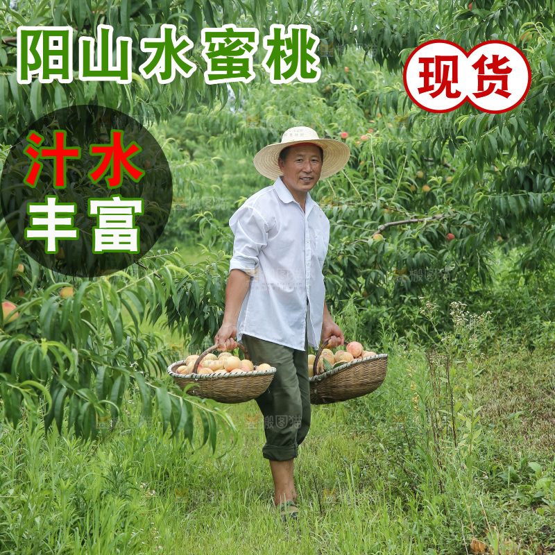 手里拿着现摘水蜜桃