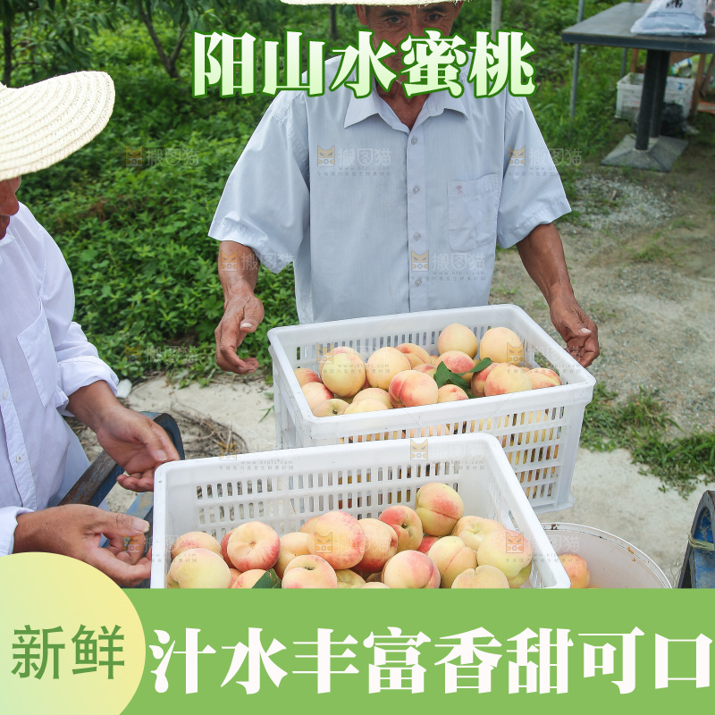 手里拿着现摘水蜜桃