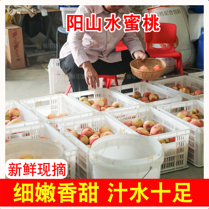 手里拿着现摘水蜜桃