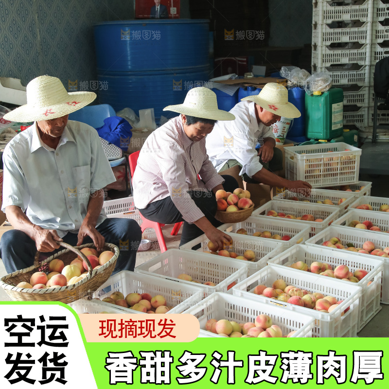 手里拿着现摘水蜜桃