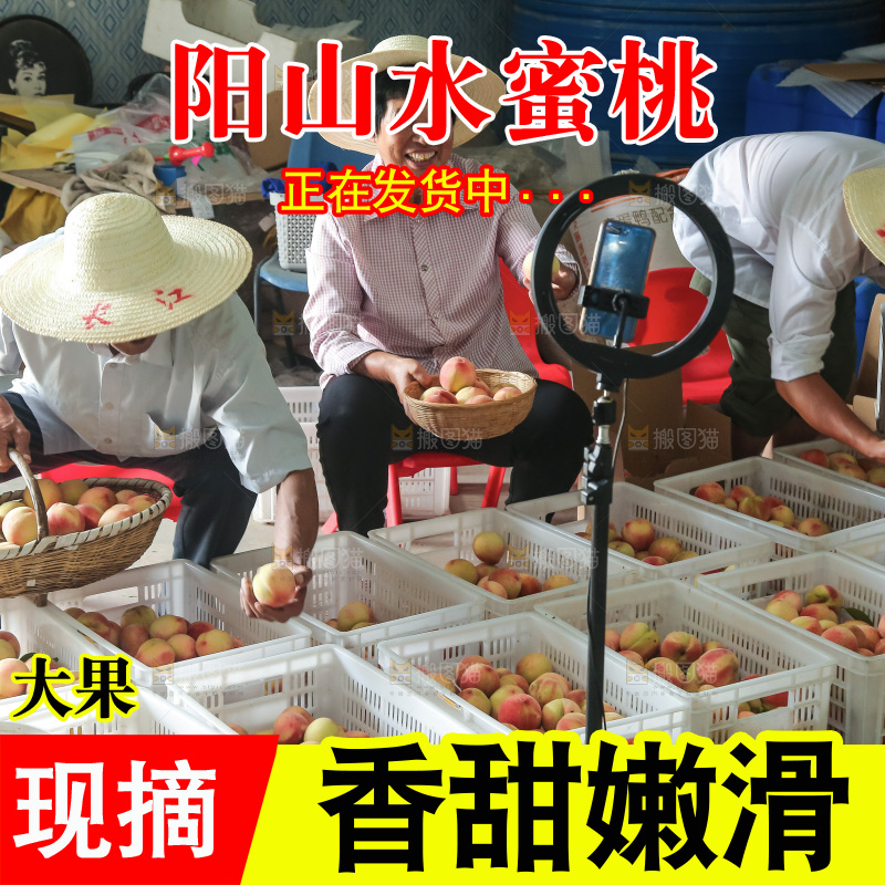手里拿着现摘水蜜桃