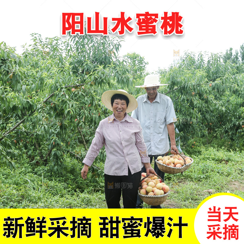 手里拿着现摘水蜜桃