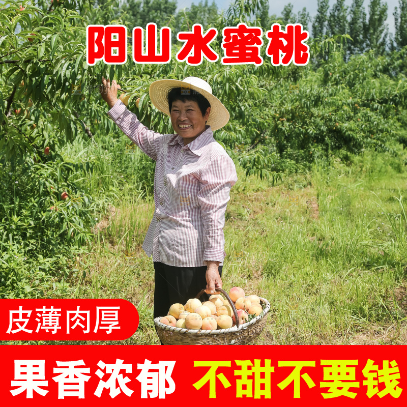 手里拿着现摘水蜜桃