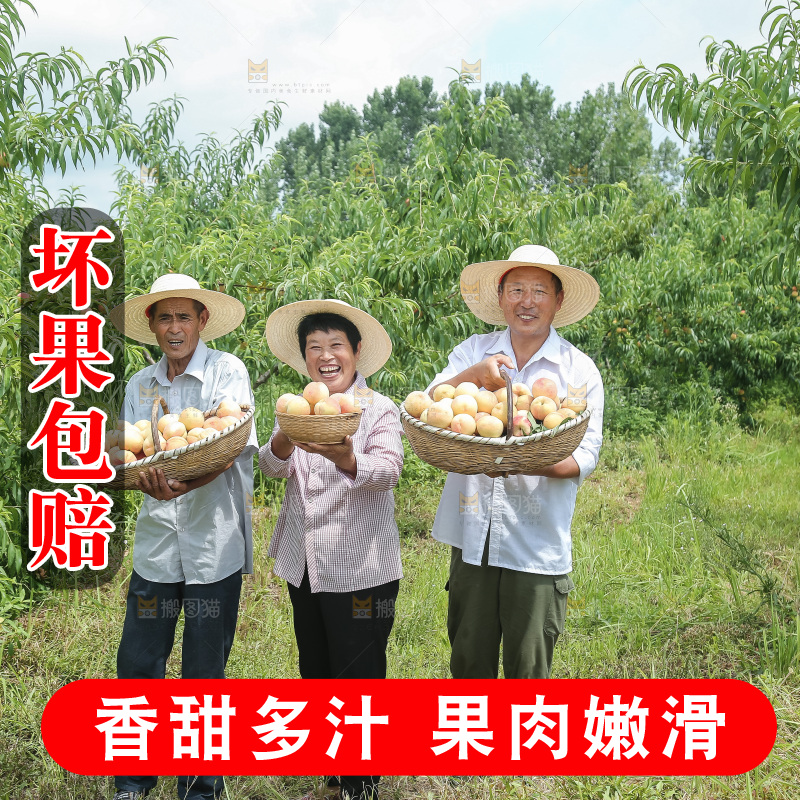 手里拿着现摘水蜜桃