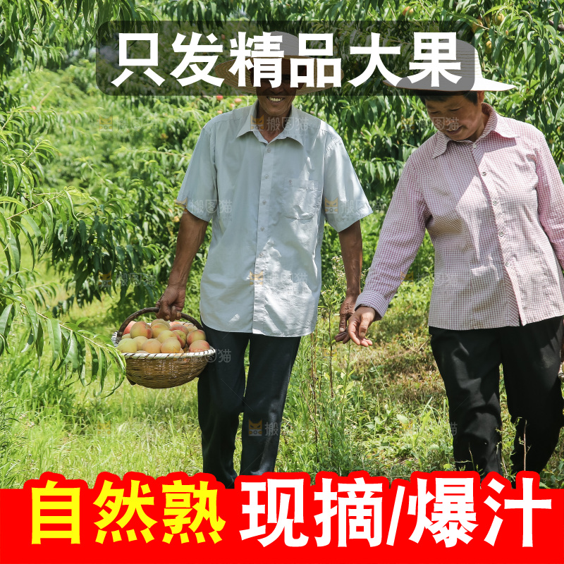 手里拿着现摘水蜜桃