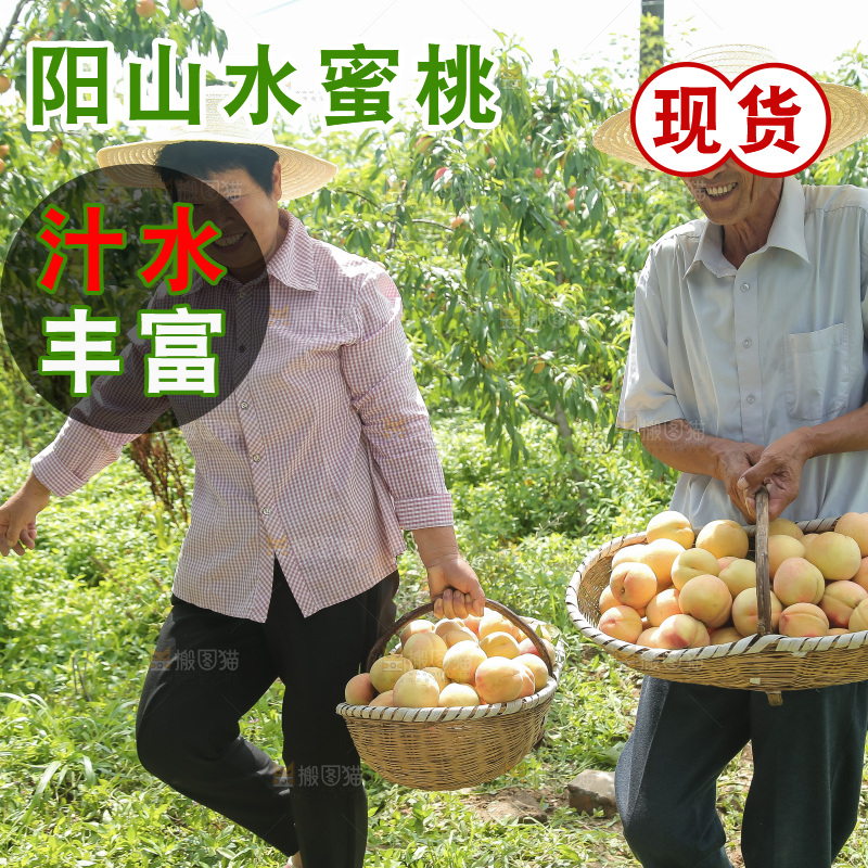 手里拿着现摘水蜜桃